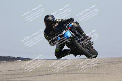 media/Mar-24-2025-2WTD (Mon) [[55b4b08488]]/A Group/11am (Outside Grapevine)/